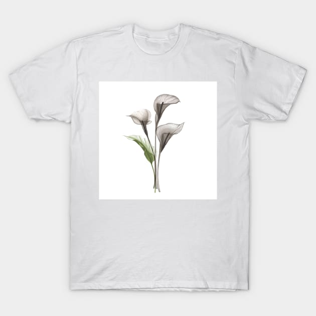 Xray Calla flowers. Tropical translucent watercolor flowers and leaves print T-Shirt by likapix